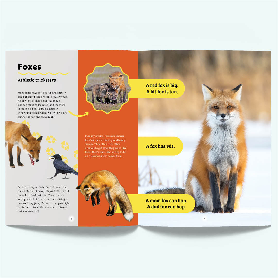 Tandem: Animal Pals 1