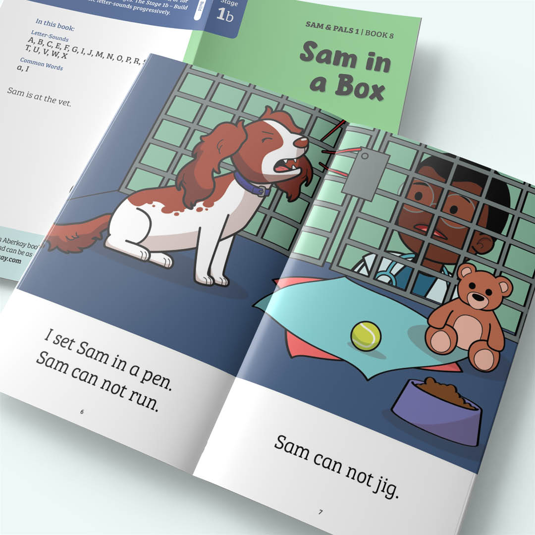 Sam & Pals 1 - Stage 1b - Build - 10 books