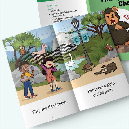 Sam & Pals 3 - Stage 3b - Build - 10 books