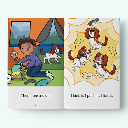 Sam & Pals 3 - Stage 3b - Build - 10 books