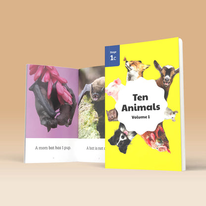 Hi-Lo: Ten Animals 1
