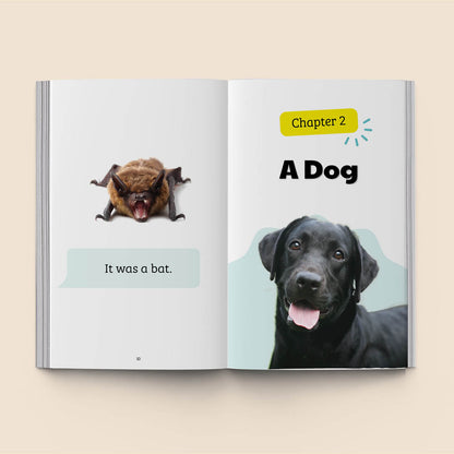Hi-Lo: Ten Animals 1
