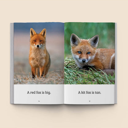 Hi-Lo: Ten Animals 1