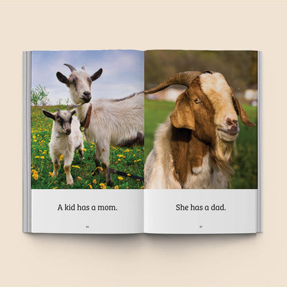 Hi-Lo: Ten Animals 1