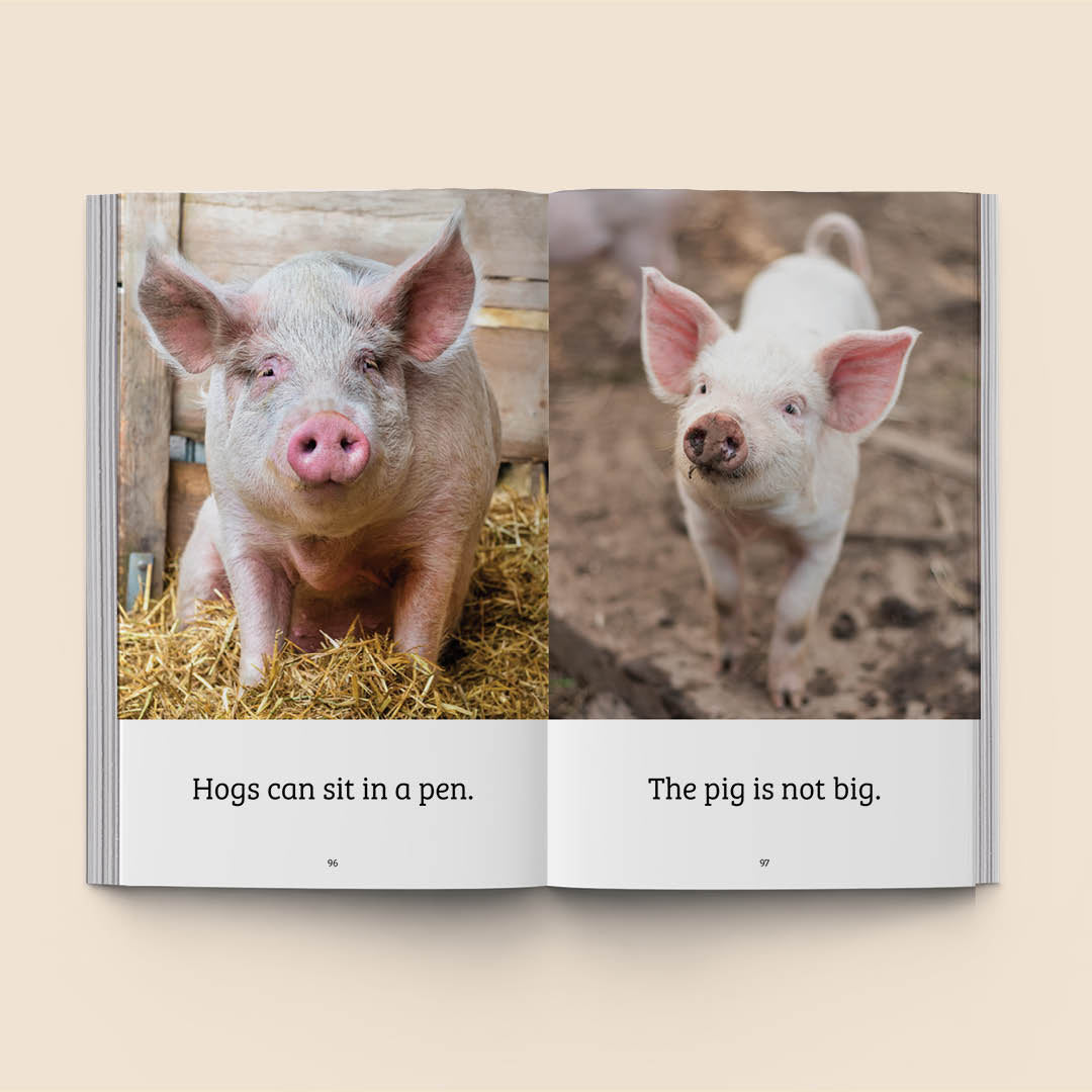 Hi-Lo: Ten Animals 1