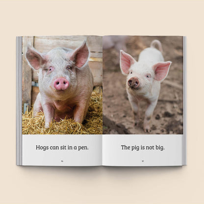 Hi-Lo: Ten Animals 1