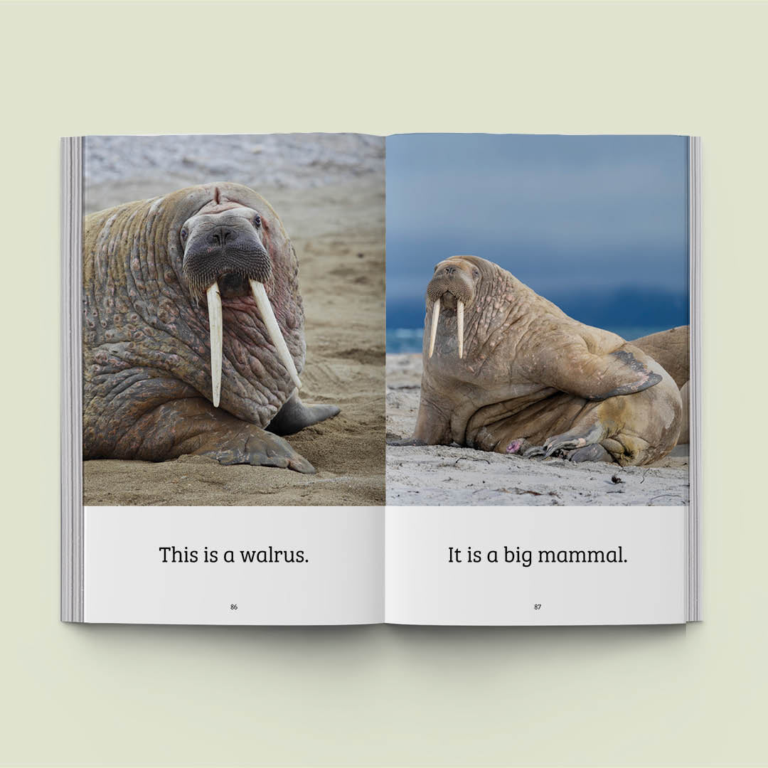 Hi-Lo: Ten Animals 2